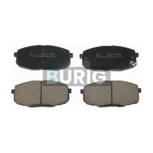 Burig B020161
