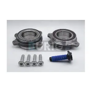 B100316 Burig