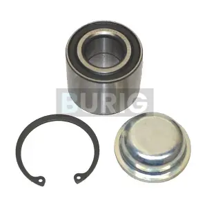 B100079 Burig