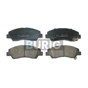 B020297 Burig