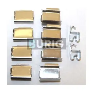 B06C0016 Burig