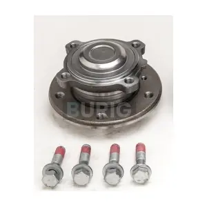 B100119 Burig