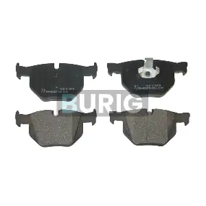 B020324 Burig