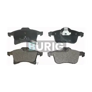 Burig B020090