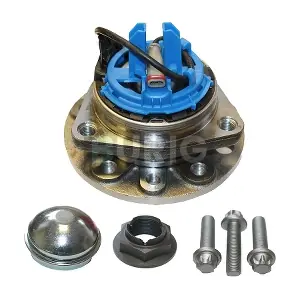 B100117 Burig
