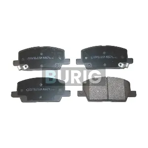 Burig B020497