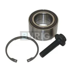 B100257 Burig