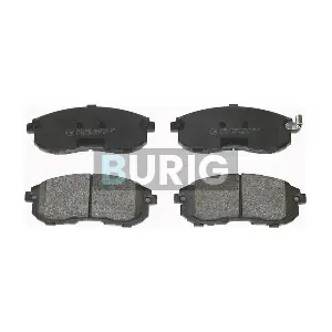 B020375 Burig