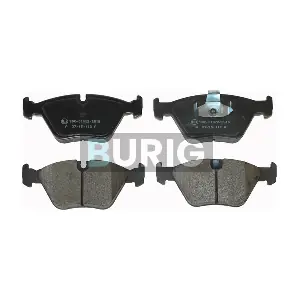 B020417 Burig