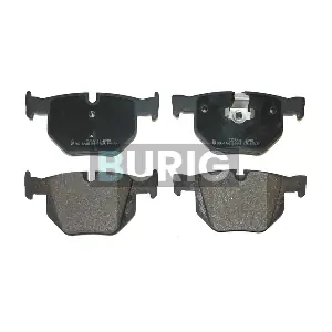 B020272 Burig