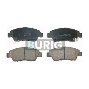 B020411 Burig