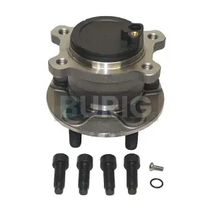 B100228 Burig