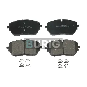 B020513 Burig