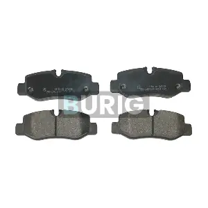 B020342 Burig