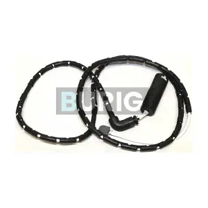 B070084 Burig