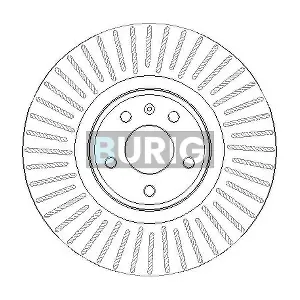 B011266 Burig