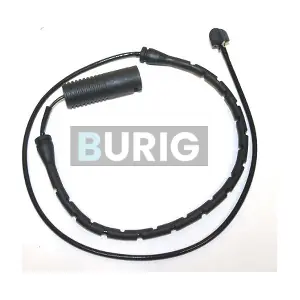 B070128 Burig