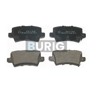B020149 Burig