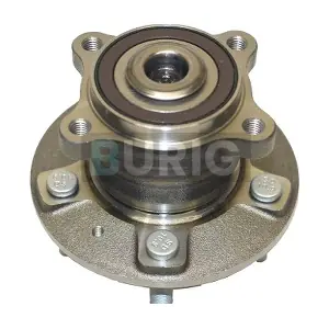 B100255 Burig