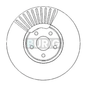 B011447 Burig