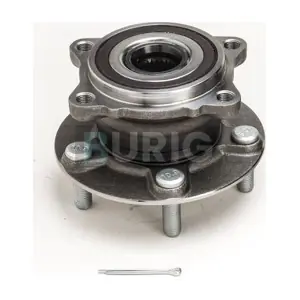 B100307 Burig