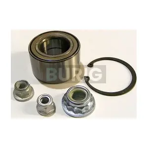 B100258 Burig