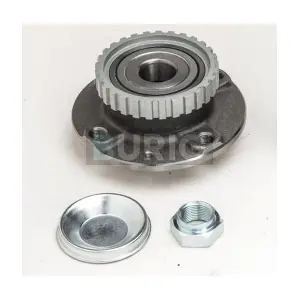 B100324 Burig