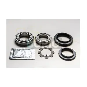 Burig B100529
