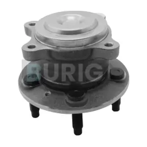 B100318 Burig