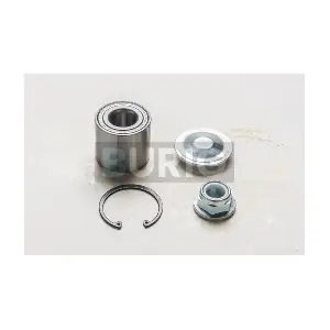B100413 Burig