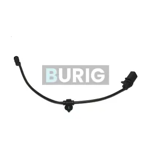 B070038 Burig