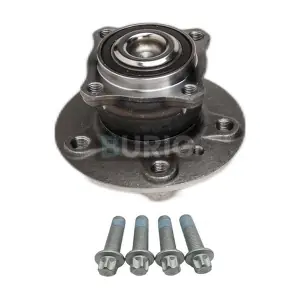 B100515 Burig