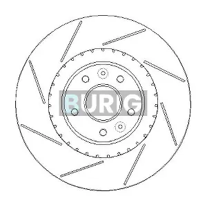 B011315 Burig