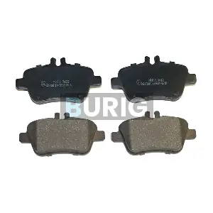 B020163 Burig