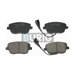 B020425 Burig