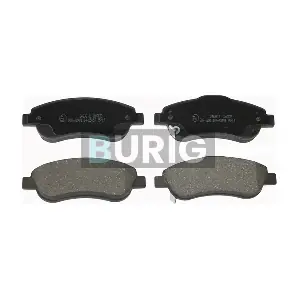 B020349 Burig