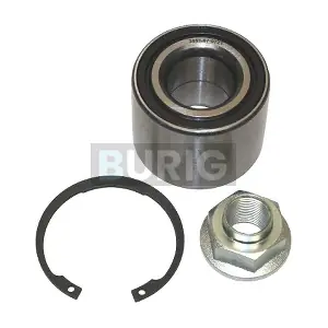 B100100 Burig