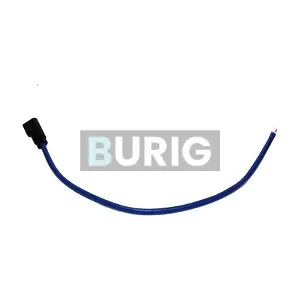 B070074 Burig