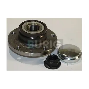 B100069 Burig