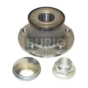 B100246 Burig