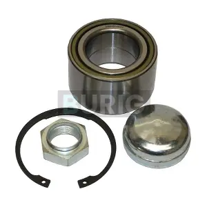 B100087 Burig