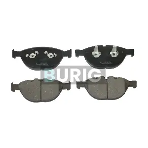 B020473 Burig