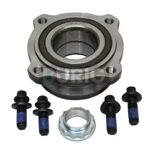 B100289 Burig