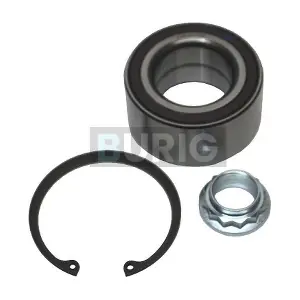 B100203 Burig