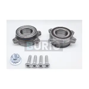 B100309 Burig