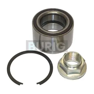 B100086 Burig