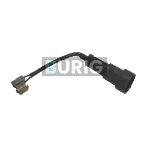 B070017 Burig