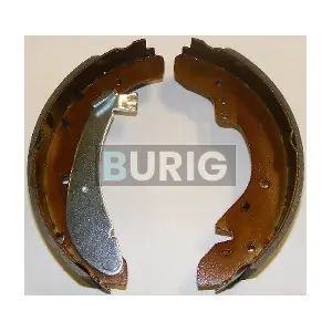 B050099 Burig