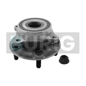 B100497 Burig