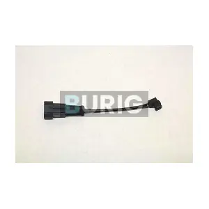 B070066 Burig